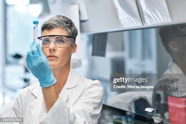 female researcher examining medical sample in lab - medisch specimen stockfoto's en -beelden