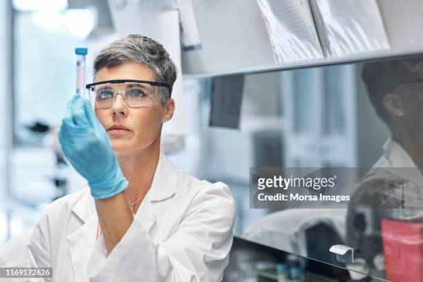 female researcher examining medical sample in lab - test tube stock pictures, royalty-free photos & images