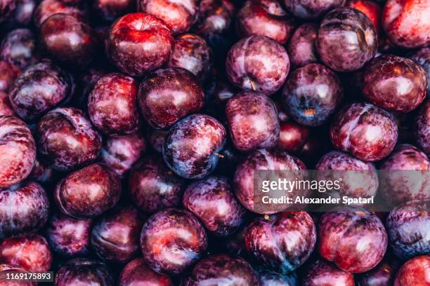 full frame shot of plums - plum stock pictures, royalty-free photos & images