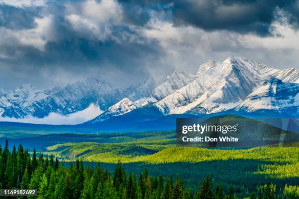 kananaskis provincial park in alberta canada - kananaskis stock pictures, royalty-free photos & images