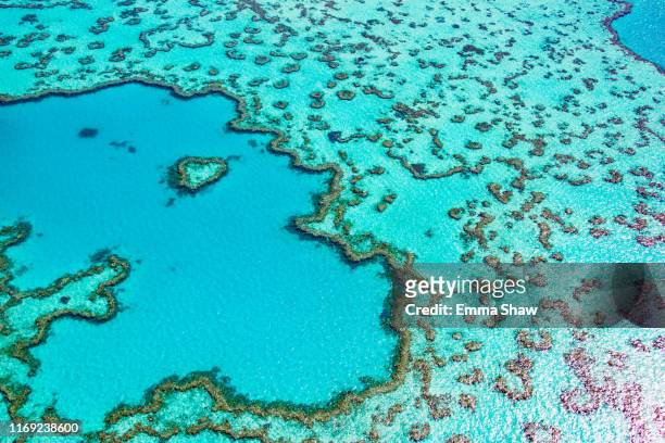 heart reef - great barrier reef stock pictures, royalty-free photos & images