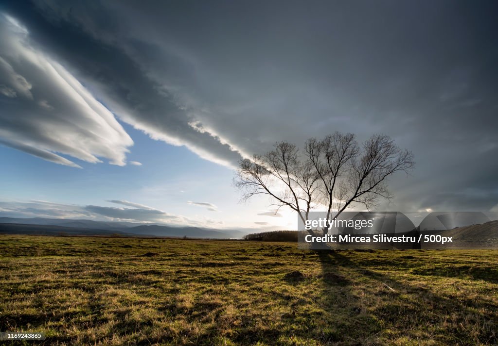 Nature Image