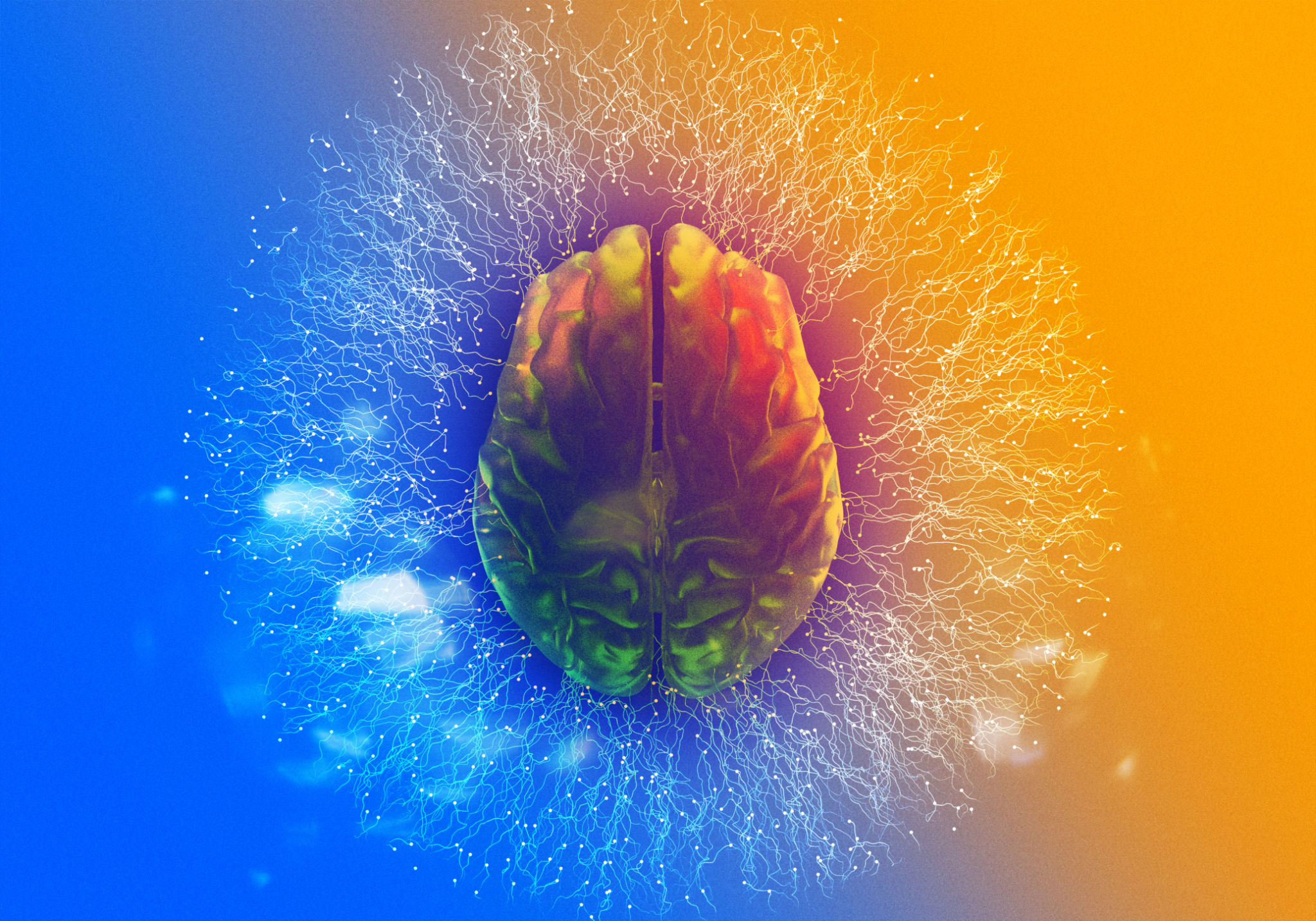brain learning