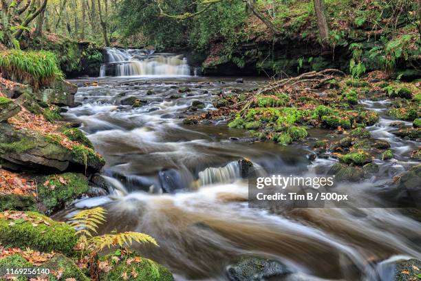 Goit Uk 58 The Goit Stock Photos, High-Res Pictures, and Images - Getty Images