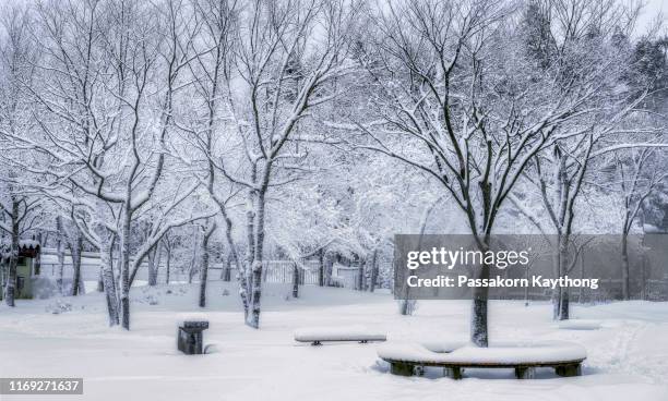 japan winter train - snow covered road stockfoto's en -beelden