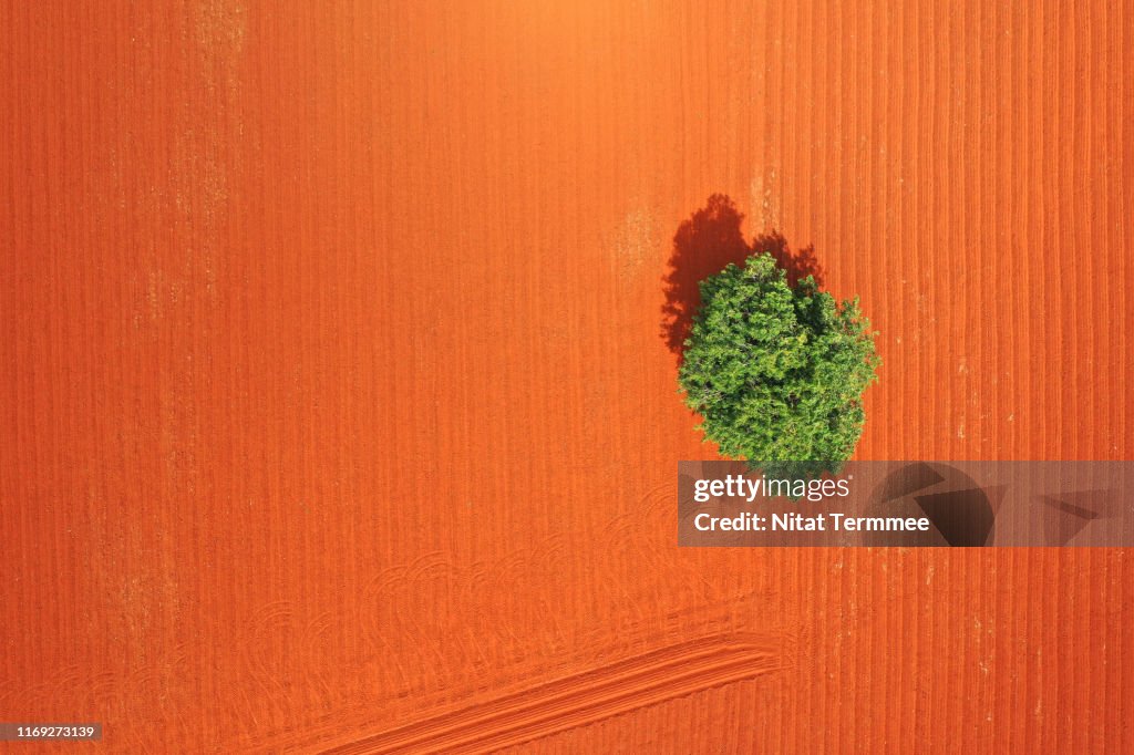 Aerial view of Soil preparation for agriculture. Can be found in Thailand.