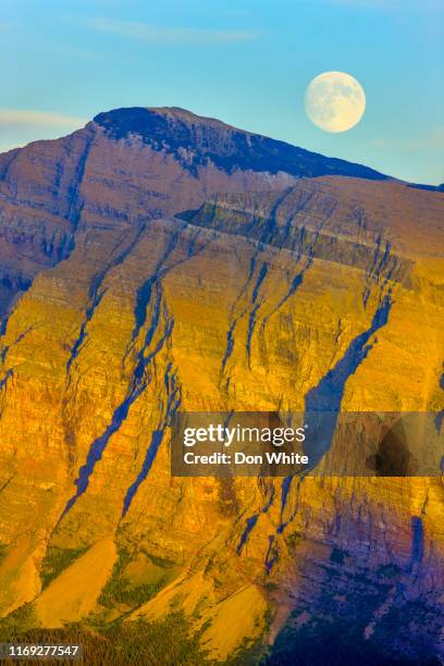 parque nacional glacier en montana usa - parque nacional glacier fotografías e imágenes de stock