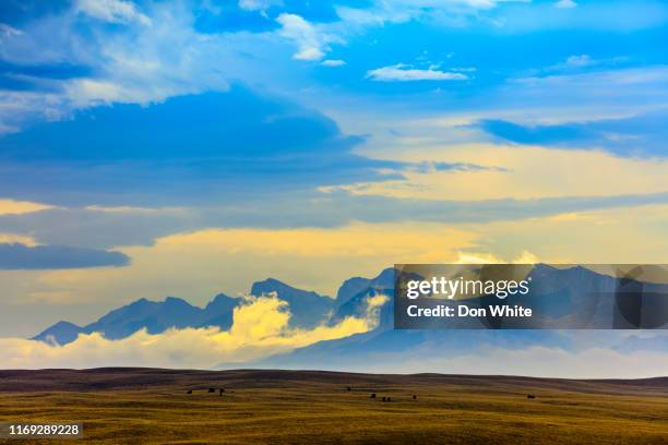 glacier national park in montana usa - montana moody sky stock pictures, royalty-free photos & images