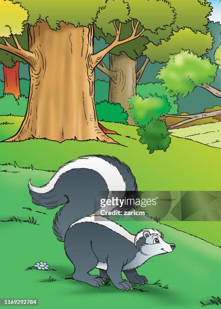 stockillustraties, clipart, cartoons en iconen met skunk illustratie - funny skunk