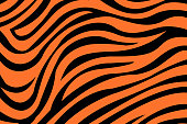 tiger pattern background illustration vector