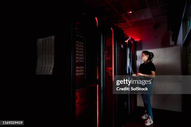 female technician working in server room - computer server stock pictures, royalty-free photos & images