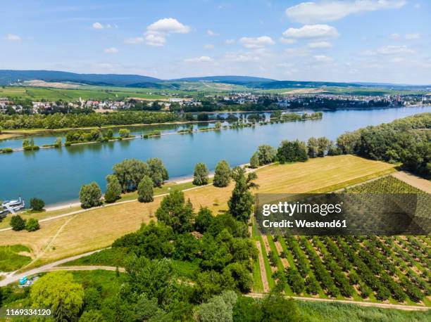 germany, rhineland-palatinate, aerial view of heidesheim am rhein, rhine river and eltville - hesse imagens e fotografias de stock