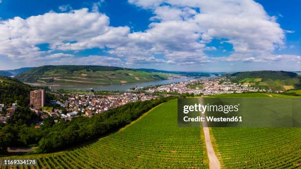 Rhein Ripp 31 Rhein Nahe Stock Photos, High-Res Pictures, and Images - Getty Images