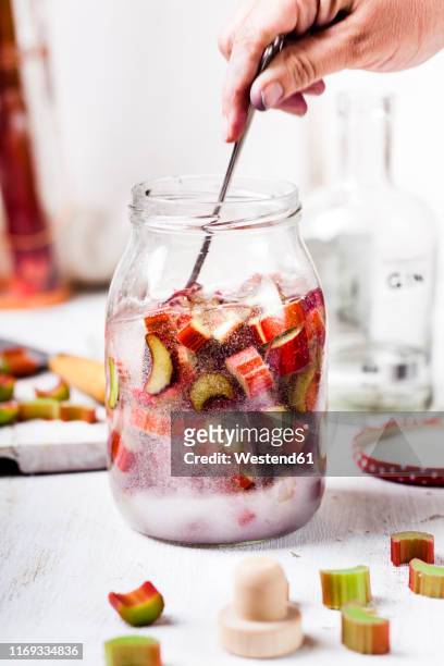 making of rhubarb gin - rabarber stockfoto's en -beelden