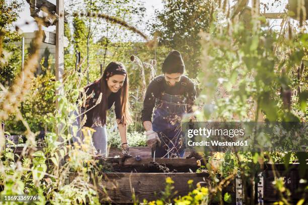 happy couple garding together - flower border stock-fotos und bilder