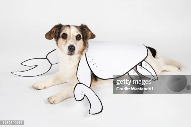 portrait of mongrel as cancer with drawn pincers and shell lying on white ground - mixed breed dog stock illustrations