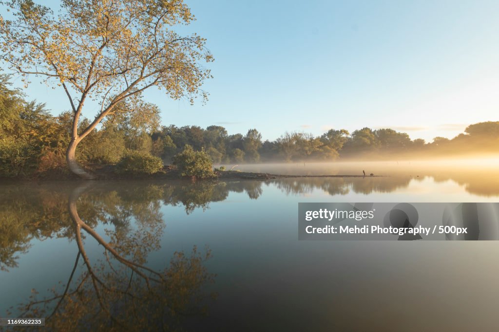 View of forest reflected in lake