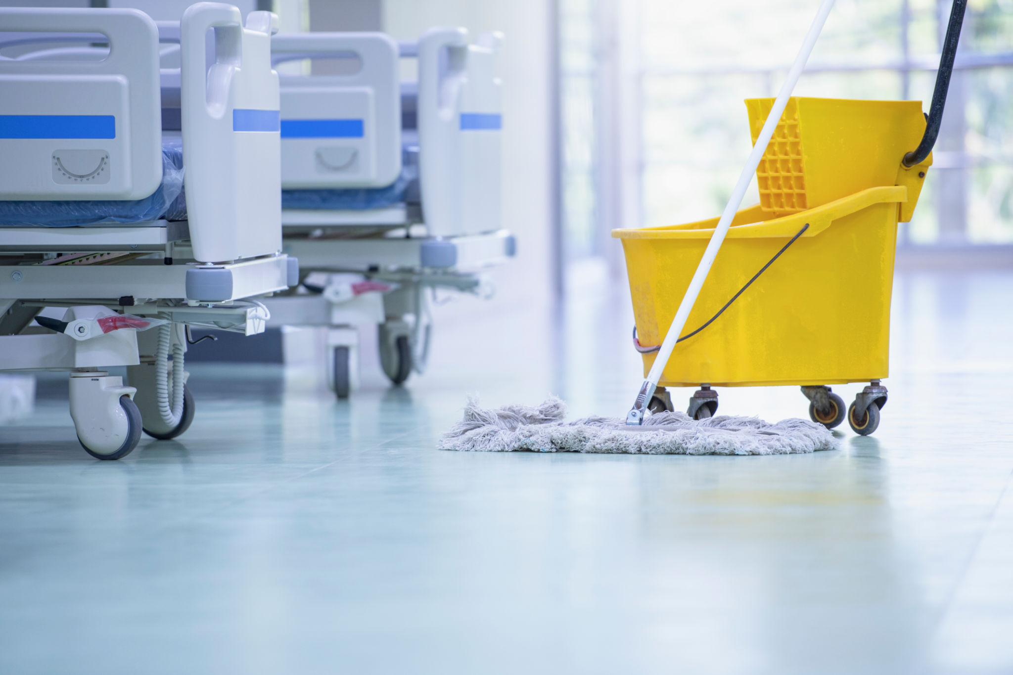 cleaning service consultation