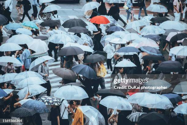 people walking under umbrellas during a rainy day in shibuya - raining umbrella stock pictures, royalty-free photos & images