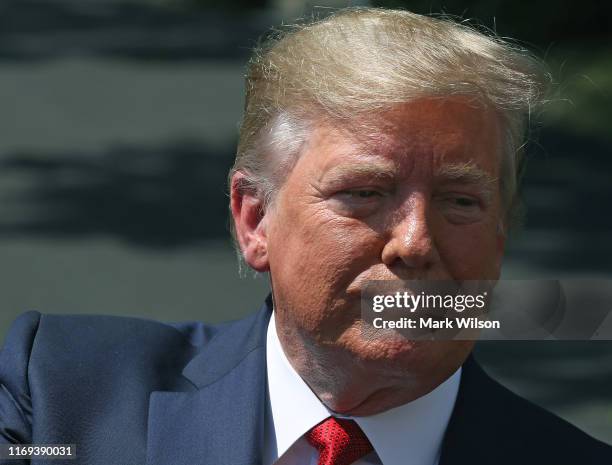 President Donald Trump speaks to the media before departing from the White House on August 21, 2019 in Washington, DC. President Trump spoke on...