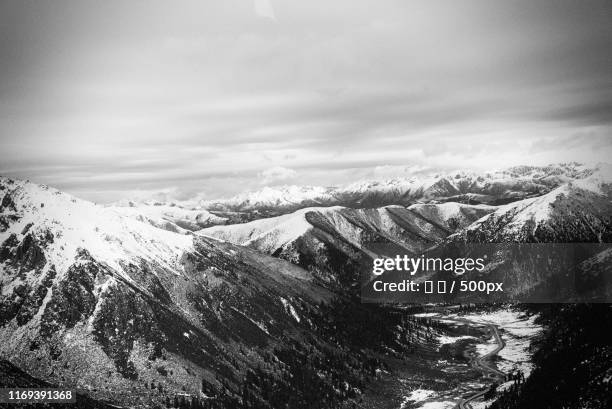 scenic view of mountains - 木 stock pictures, royalty-free photos & images