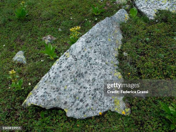 Castner Marble Mt Garnet Photos and Premium High Res Pictures - Getty Images