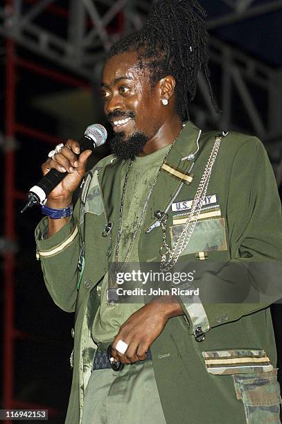 Beenie Man during VP Records Memorial Weekend Concert - May 29, 2005 at Bayfront Park in Miami, Florida, United States.