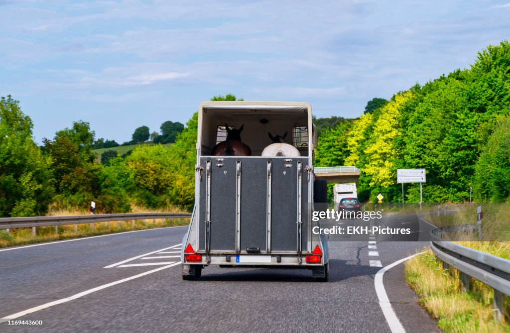 Bil med häst trailer på väg