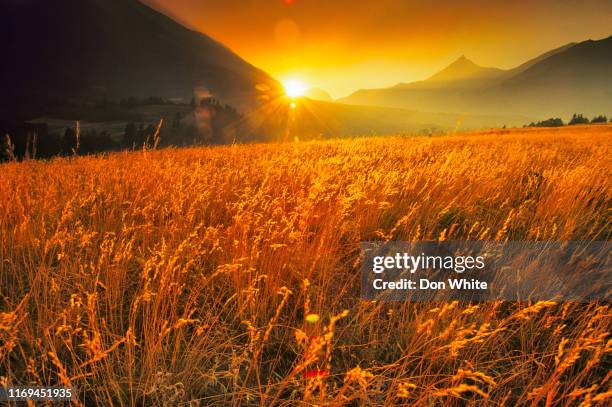 waterton-nationalpark in alberta kanada - provinz alberta stock-fotos und bilder