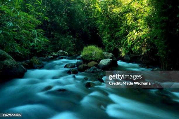 water stream motion between the stone rocks - made widhana - fotografias e filmes do acervo