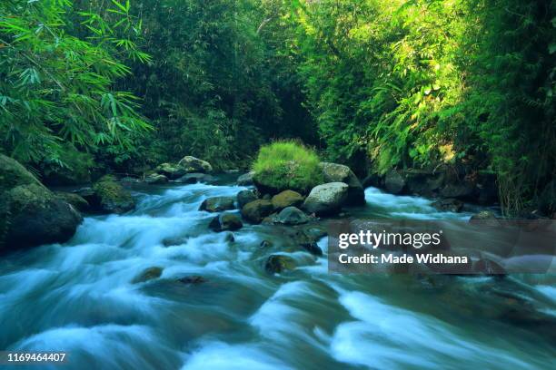 water stream motion between the stone rocks - made widhana - fotografias e filmes do acervo