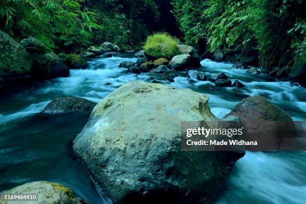 water stream motion between the stone rocks - made widhana - fotografias e filmes do acervo