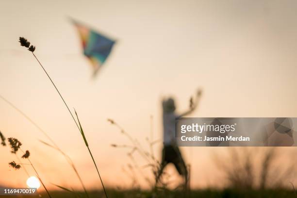defocused boy playing with kite silhouette on sunset grass meadow - indonesian kite stock pictures, royalty-free photos & images