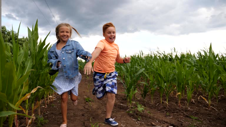https://media.gettyimages.com/id/1169508696/video/little-girl-and-boy-having-fun-while-running-to-the-camera-through-maize-plantation-small.jpg?b=1&s=640x640&k=20&c=4ogKuNDO_ighq_xR3-qhy-xZcYu82TsinWMokLrUTYs=