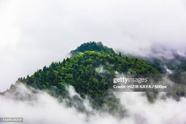 Equatorial Guinea Photos and Premium High Res Pictures - Getty Images