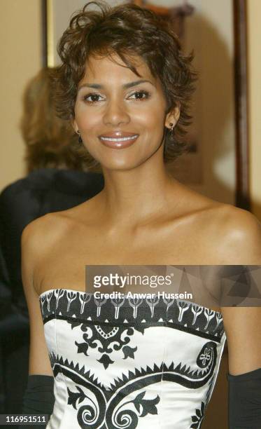 Halle Berry 2002 Photos and Premium High Res Pictures - Getty Images
