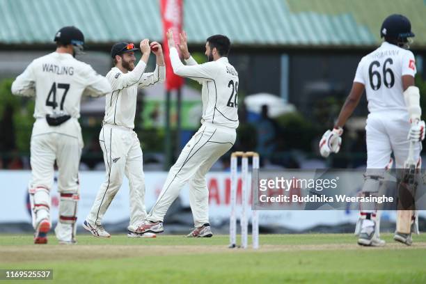 Kane Williamson of New Zealand celebrates with his team mate Will Somerville after taking a catch to dismiss Lahiru Thirimanne of Sri Lanka during...