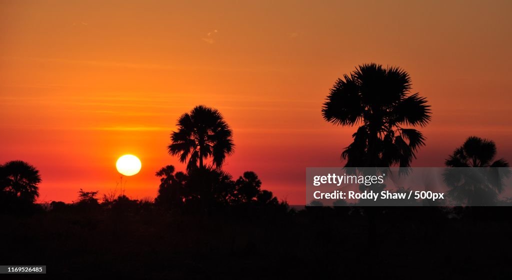 Madagascan Sunset