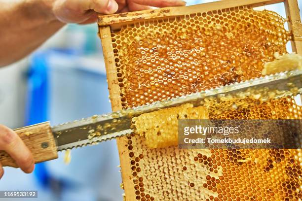 honig - beeswax stock pictures, royalty-free photos & images