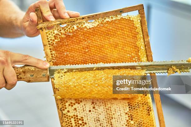 honig - apiculture stock pictures, royalty-free photos & images