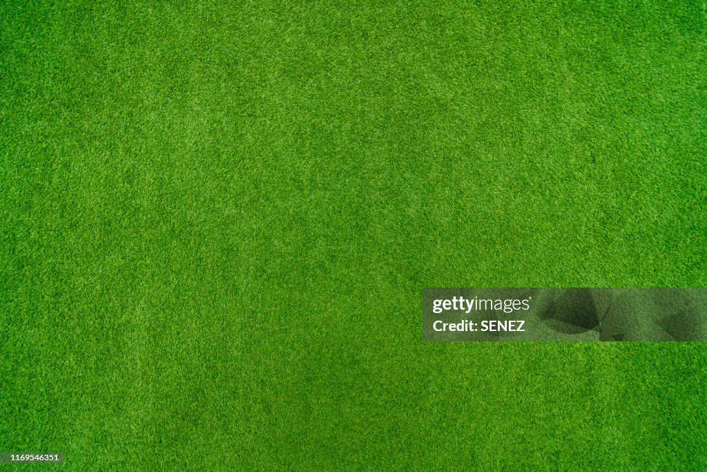 Green grass background