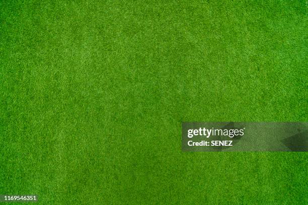 green grass background - football pitch texture stock pictures, royalty-free photos & images