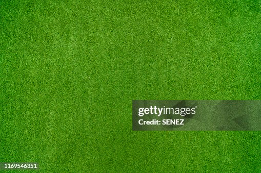 Green grass background Green grass background