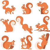 Cartoon squirrel. Funny forest wild animals running standing and jumping vector squirrel clip art collection