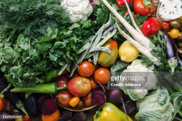 colorful variety, plant based food, homegrown crop - fresh fruit stock-fotos und bilder