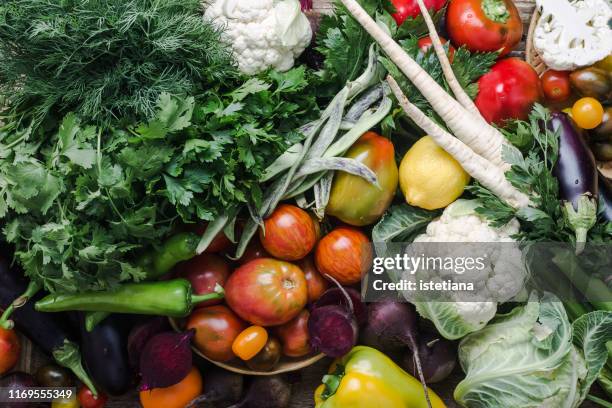 colorful variety, plant based food, homegrown crop - organic plant stock pictures, royalty-free photos & images