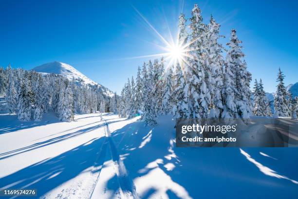 star shape sun in snowcapped winter mountain landscape - clear sky mountain stock pictures, royalty-free photos & images