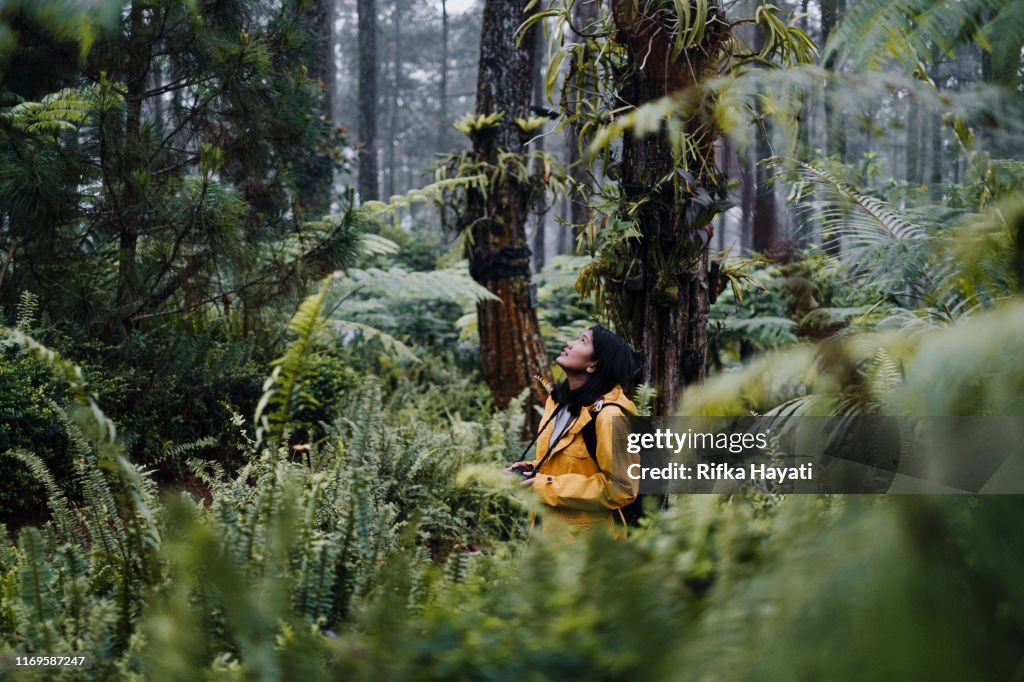 Les jeunes femmes explorent la forêt à Bandung