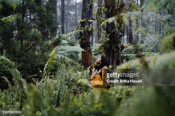 女青年探索萬隆森林 - explorer 個照片及圖片檔