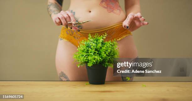 let's talk hair down there - hairy body woman stock pictures, royalty-free photos & images